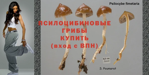 гидра Белоозёрский