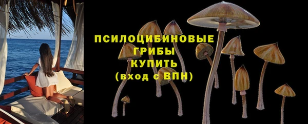 скорость Белокуриха