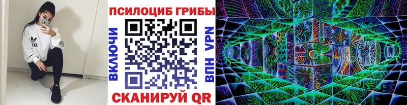 продажа наркотиков  Юрьевец  кракен вход  Галлюциногенные грибы MAGIC MUSHROOMS 